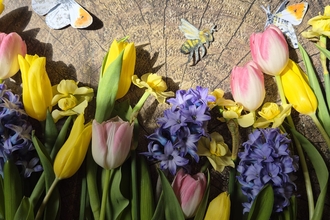 A set of cut flowers lying across a plank of wood, with pictures of butterflies and bees placed as if flying over