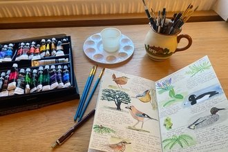 a sketchbook with drawings of birds alongside paints and brushes