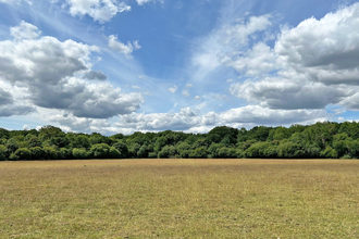 Hamgreen Wood and cloudy blue sky, Buckinghamshire