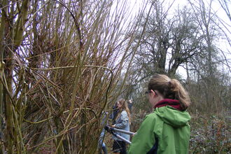 two young people pruning willows on a cloudy day