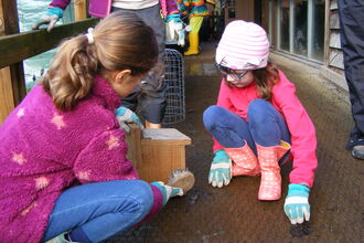 two young children squatting down to look at a wooden bird box