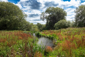 Landscape view of the fish passage at Chimney Meadows Nature Reserve