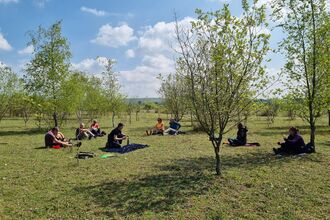 Walk participates sit in a young forest enjoying nature