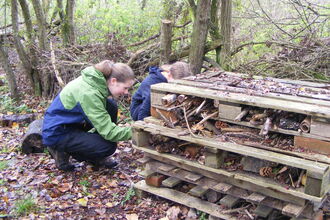 Image of two teenagers looking into a large bug hotel made of wooden pallets and other natural materials.