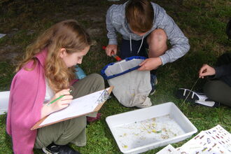 Image of two adolescents crouched in front of a tray where they have placed captured insects to identify them.