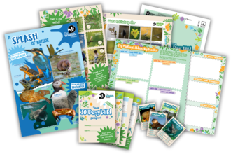 A collage of 30 Days Wild kids' resources, including a poster, spotting sheets and trading cards