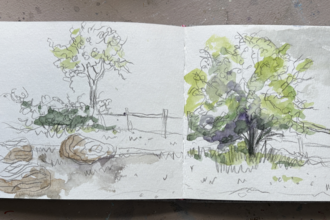 Nature Journalling - Helen Grimbleby