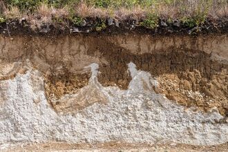 Layers of topsoil, chalk and fit in cutaway