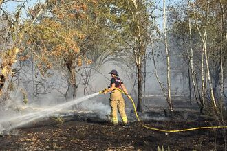 A firefighter spraying a hose of water at the ground near to burned trees