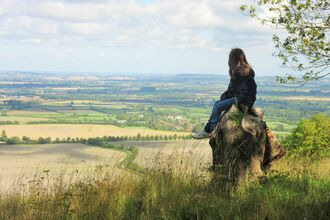 Girl sitting on a tall tree stump looking out over countryside