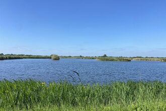 Reconnecting Bernwood Otmoor and the Ray