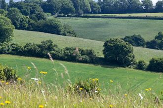 Chilterns Farming Clusters
