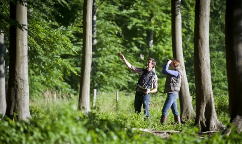 woodland walk