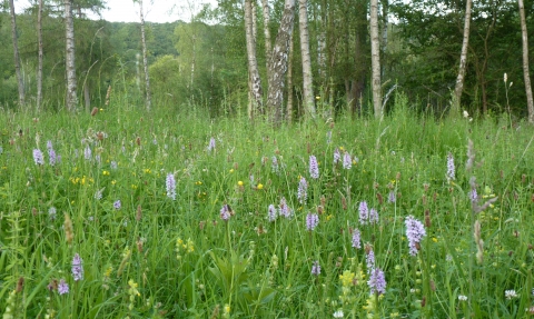 Warburg Nature Reserve