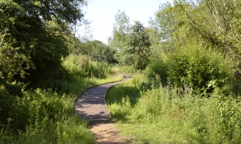 Lye Valley