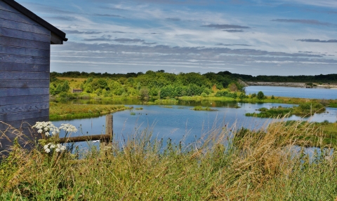 College Lake by Ron Adams