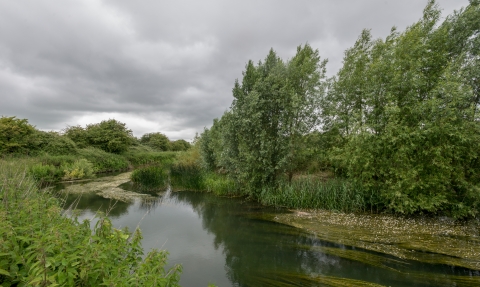 Chimney meadows nature reserve