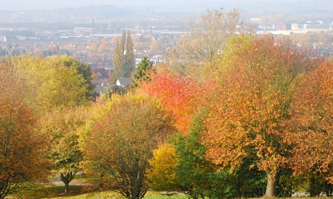 A view of a town with trees in the foreground