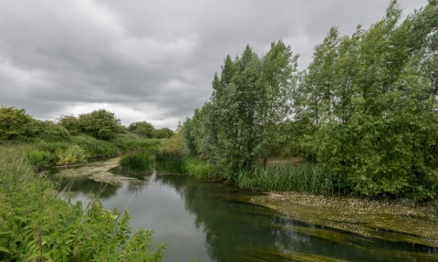 River at Chimney Meadows