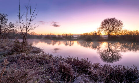 A frost-covered landscape, winter at Cholsey Marsh, Oxfordshire