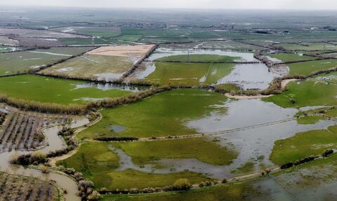 Aerial view of Chimney Meadows and the Thames floodplain