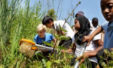 Children pond dipping at Woolley Firs 