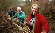 Volunteers hedgelaying