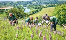 Ecology team surveying Hartslock nature reserve