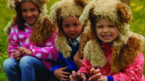 Teddy Bears' Picnic