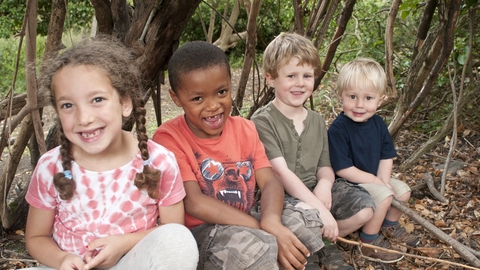 Children sat on a log