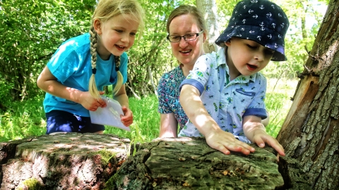 Exploring woodland