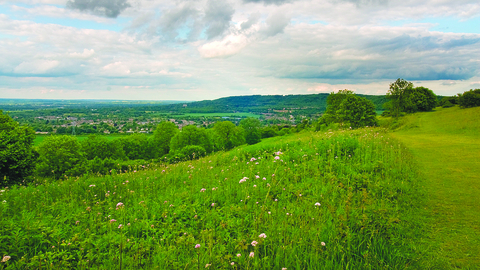 Bacombe Hill