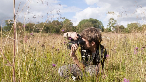Boy taking photograph in meadow