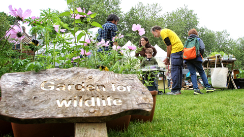 Oxford Festival of Nature Garden for Wildlife by Ric Mellis