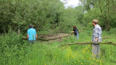 volunteers