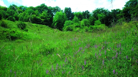 Aston Clinton Ragpits