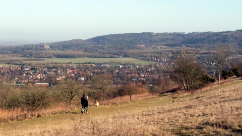 Bacombe Hill