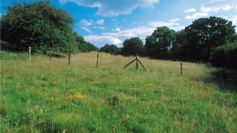 Chawridge Bank