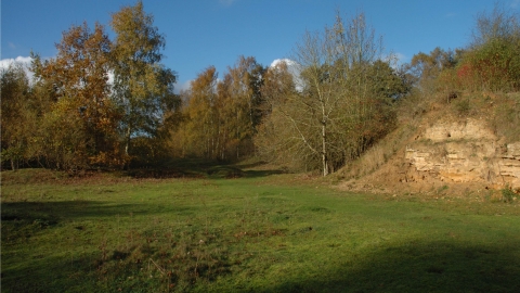 Dry Sandford Pit