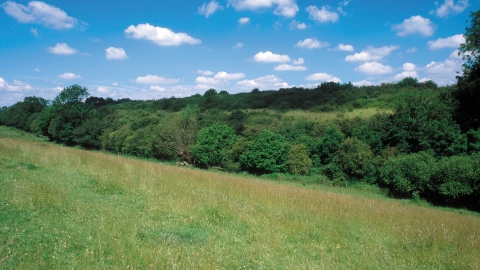 Glyme Valley