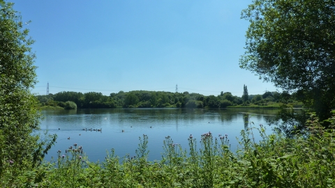 Hosehill Lake