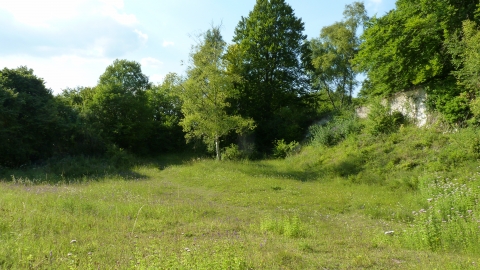 Hurley Chalk Pit