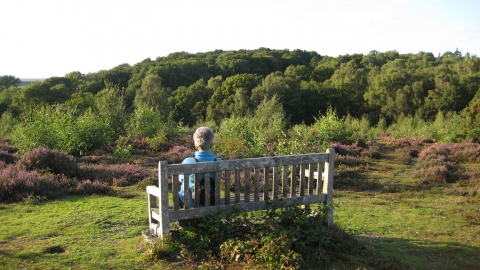 Snelsmore Common