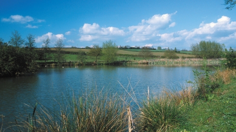 Lamb's Pool