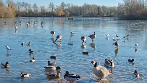 Nature Discovery Centre