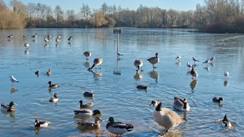 Nature Discovery Centre by Maria Arkwright