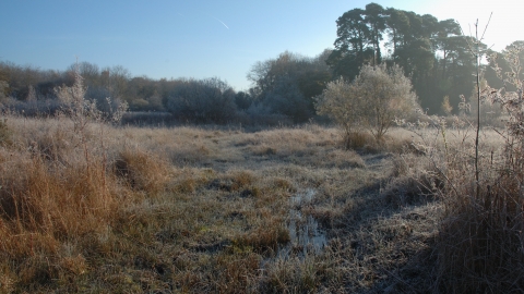 Parsonage Moor