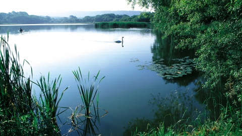 Weston Turville Reservoir