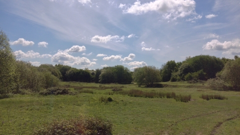 Ardley Wood Quarry