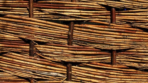willow weaving